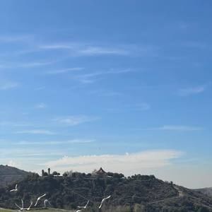 Meet your Posher, Reyes